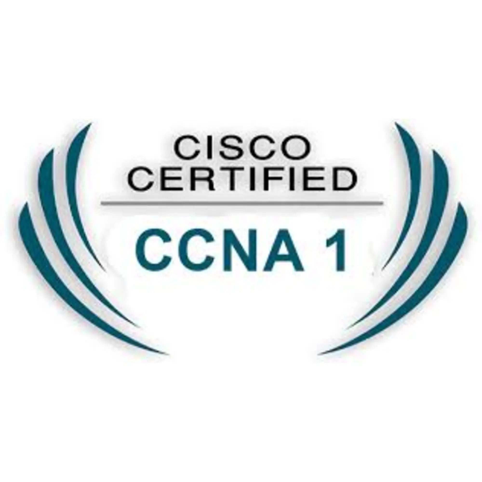 Cisco CCNA 1